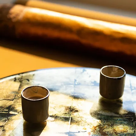 酒店 De Montesquieu